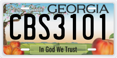 GA license plate CBS3101