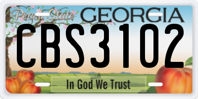 GA license plate CBS3102
