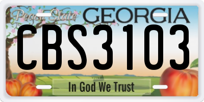 GA license plate CBS3103