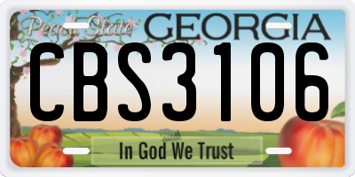 GA license plate CBS3106