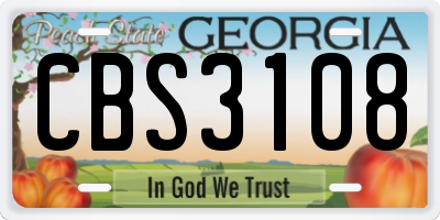 GA license plate CBS3108