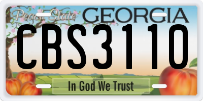 GA license plate CBS3110