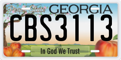 GA license plate CBS3113