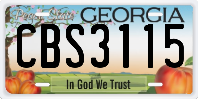 GA license plate CBS3115