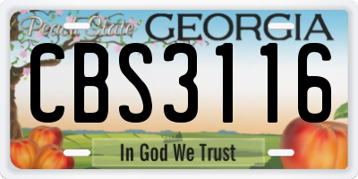 GA license plate CBS3116