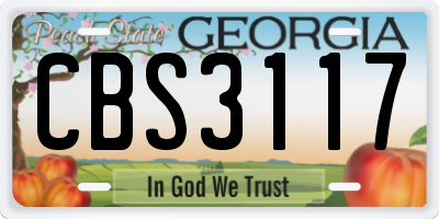 GA license plate CBS3117