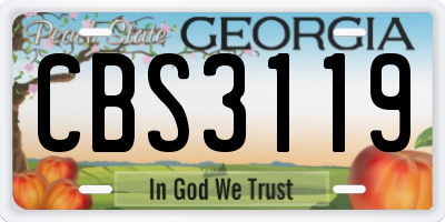 GA license plate CBS3119
