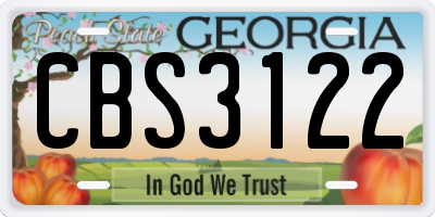 GA license plate CBS3122