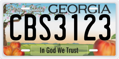 GA license plate CBS3123