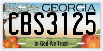 GA license plate CBS3125