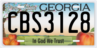 GA license plate CBS3128