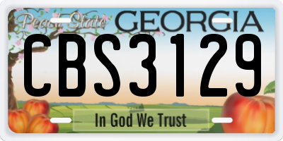 GA license plate CBS3129