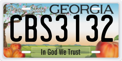 GA license plate CBS3132