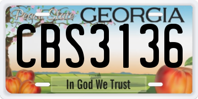 GA license plate CBS3136
