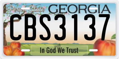 GA license plate CBS3137