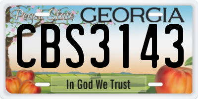 GA license plate CBS3143