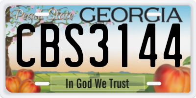 GA license plate CBS3144