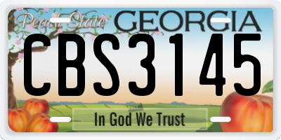 GA license plate CBS3145