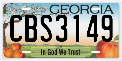 GA license plate CBS3149