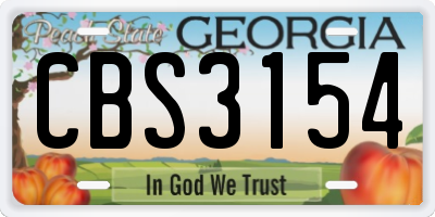 GA license plate CBS3154