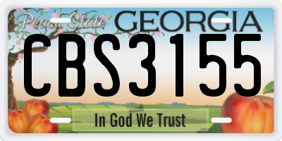 GA license plate CBS3155