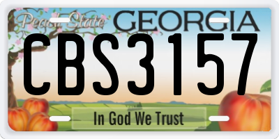 GA license plate CBS3157