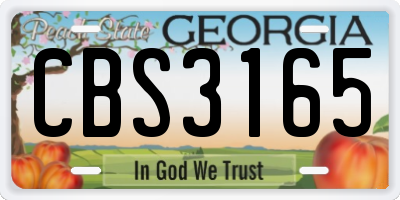GA license plate CBS3165
