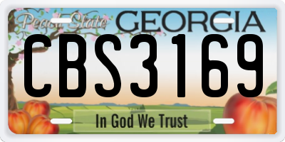 GA license plate CBS3169