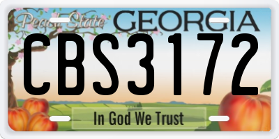 GA license plate CBS3172