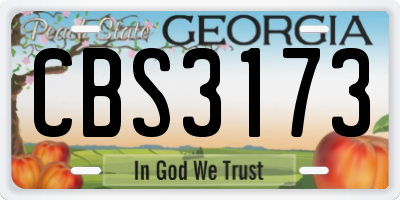 GA license plate CBS3173
