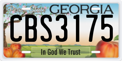 GA license plate CBS3175