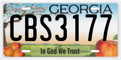GA license plate CBS3177
