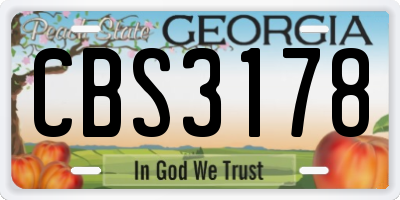 GA license plate CBS3178