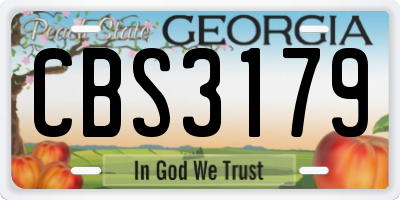 GA license plate CBS3179