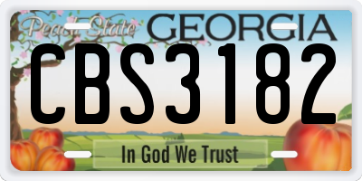 GA license plate CBS3182