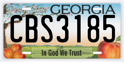 GA license plate CBS3185
