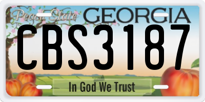 GA license plate CBS3187