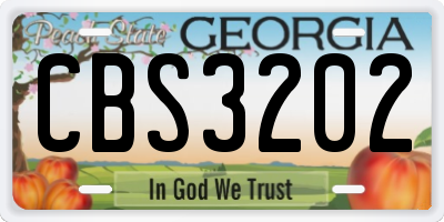 GA license plate CBS3202