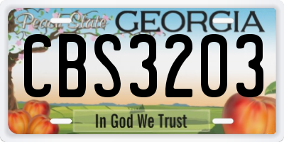 GA license plate CBS3203