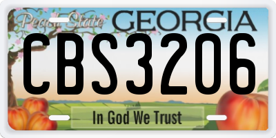 GA license plate CBS3206