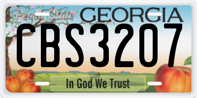 GA license plate CBS3207