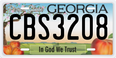 GA license plate CBS3208