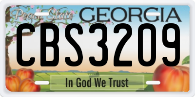 GA license plate CBS3209