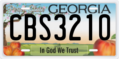 GA license plate CBS3210