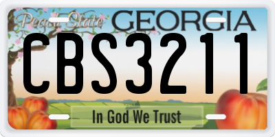 GA license plate CBS3211