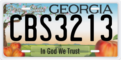 GA license plate CBS3213