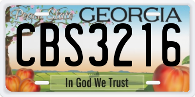 GA license plate CBS3216
