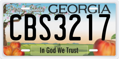 GA license plate CBS3217