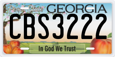 GA license plate CBS3222