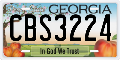 GA license plate CBS3224